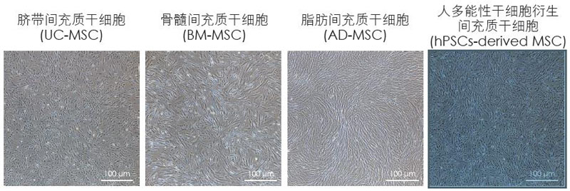 【逛展會零距離】“渝”您共赴中國細胞生物學學會2021年全國學術大會