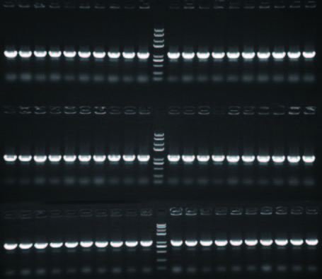 全式金產(chǎn)品再登《Science》雜志