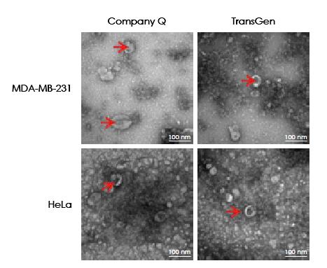 【逛展會零距離】“渝”您共赴中國細胞生物學學會2021年全國學術大會