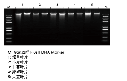 【展會(huì)零距離】2021全國(guó)植物生物學(xué)大會(huì)