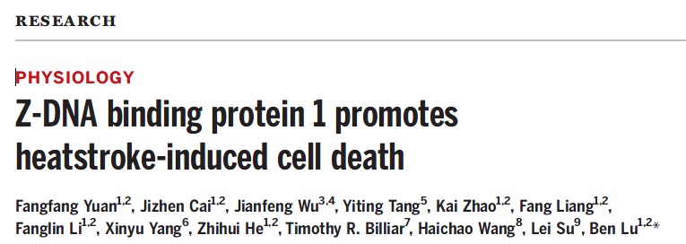 1651814290805487.png 1651814290805487.png