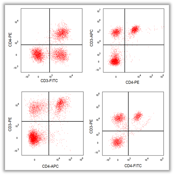 圖片12.png 圖片12.png