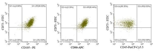 圖片9.png 圖片9.png