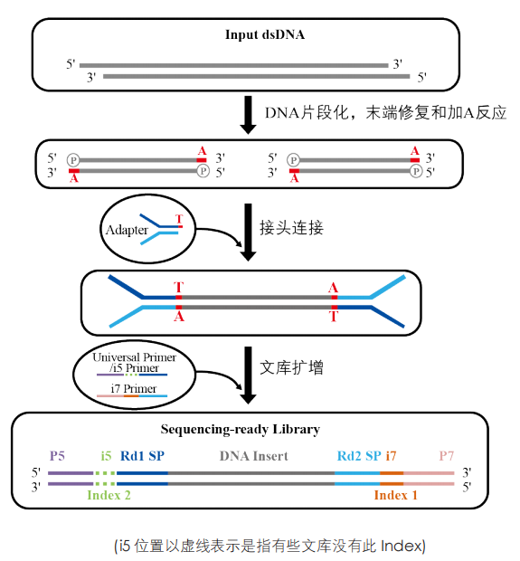 圖片23.png 圖片23.png