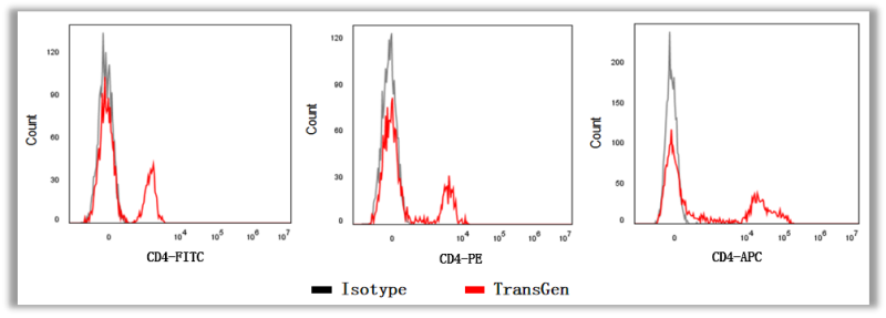 圖片11_副本.png 圖片11_副本.png