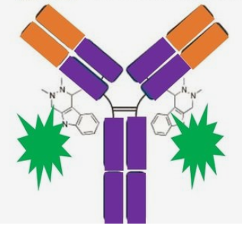 圖片1.png 圖片1.png