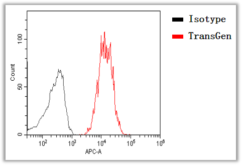 圖片6.png 圖片6.png