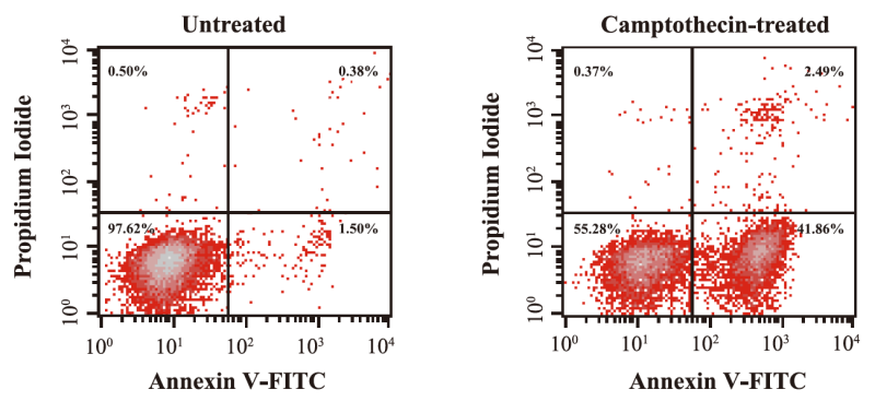 圖片6.png 圖片6.png