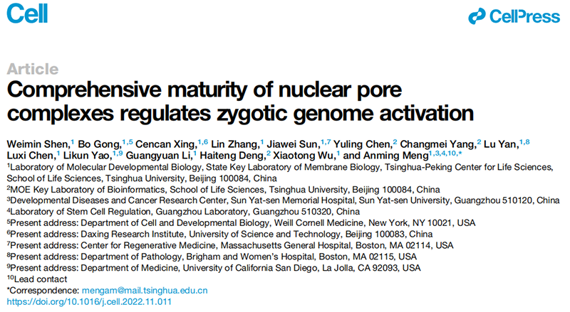 清華大學(xué)生命科學(xué)學(xué)院孟安明院士課題組揭示核孔復(fù)合體調(diào)控合子基因組激活新機(jī)制,全式金 清華大學(xué)生命科學(xué)學(xué)院孟安明院士課題組揭示核孔復(fù)合體調(diào)控合子基因組激活新機(jī)制,全式金