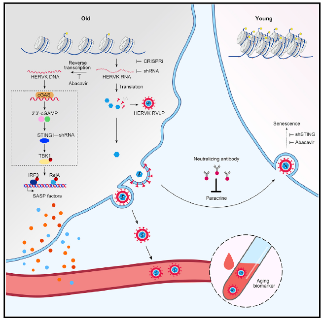 圖片2.png 圖片2.png