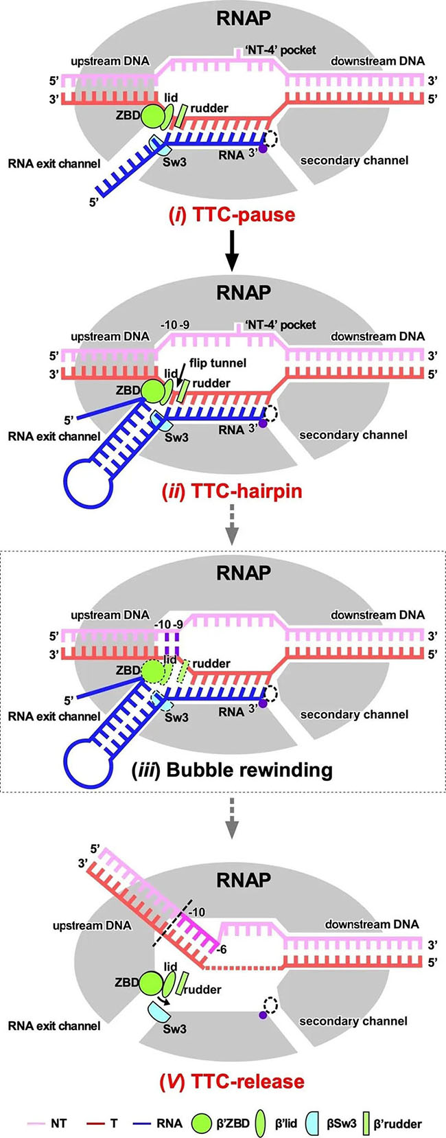 2副本.jpg 2副本.jpg