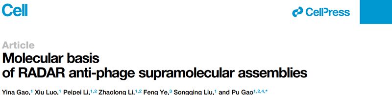 全式金感受態(tài)細胞CD101榮登Cell 全式金感受態(tài)細胞CD101榮登Cell