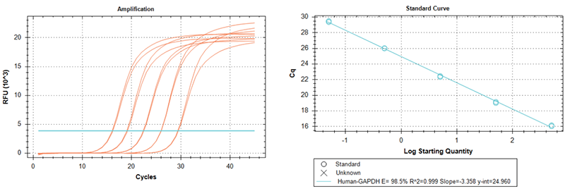 使用TransGen產(chǎn)品以不同起始量RNA（500 ng-50 pg，10倍梯度稀釋）為模板進(jìn)行  反轉(zhuǎn)錄后定量擴(kuò)增GAPDH基因。結(jié)果表明，TransGen產(chǎn)品反轉(zhuǎn)錄效率高，線性范圍廣。