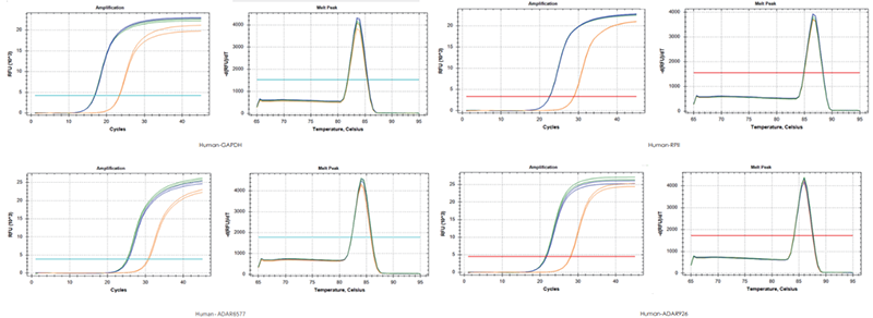 使用TransGen產(chǎn)品，以200 ng RNA、200 ng RNA+200 ng gDNA、200 ng gDNA為  模板進(jìn)行反轉(zhuǎn)錄后定量擴(kuò)增不同基因。結(jié)果表明，TransGen產(chǎn)品具有強(qiáng)的gDNA去除能力。