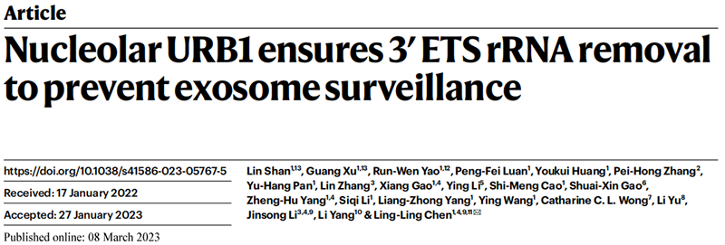 助力科研，全式金Trans1-T1化學感受態(tài)細胞榮登Nature