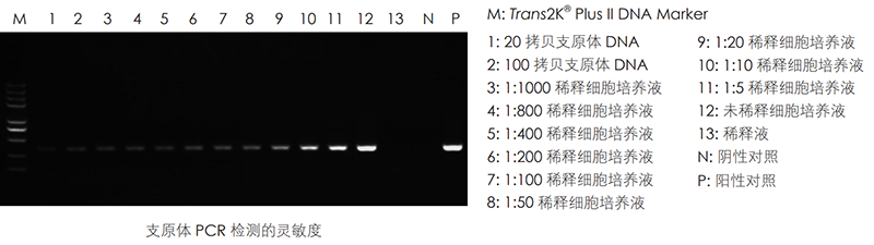 實(shí)驗(yàn)數(shù)據(jù)