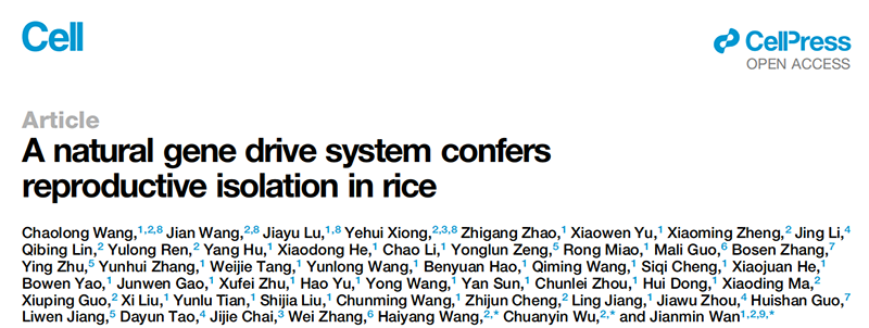 助力科研，全式金克隆感受態(tài)細胞CD501和表達感受態(tài)細胞CD801榮登Cell