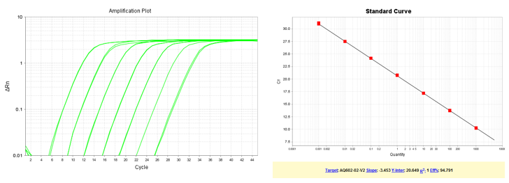 以梯度稀釋的質(zhì)粒DNA為模板，使用TransGen產(chǎn)品進(jìn)行擴(kuò)增。結(jié)果顯示，TransGen產(chǎn)品擴(kuò)增效率高，可得到漂亮的擴(kuò)增曲線和標(biāo)準(zhǔn)曲線。