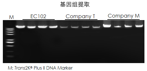 2bd2437904eff832dc950ccef5a96665.png 2bd2437904eff832dc950ccef5a96665.png