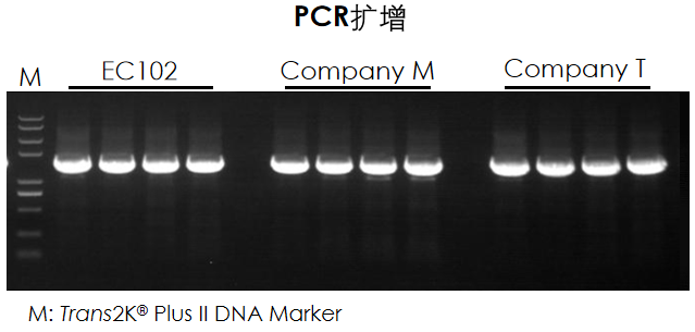 b0b2562d3e0414f2f2bb402ae6400822.png b0b2562d3e0414f2f2bb402ae6400822.png