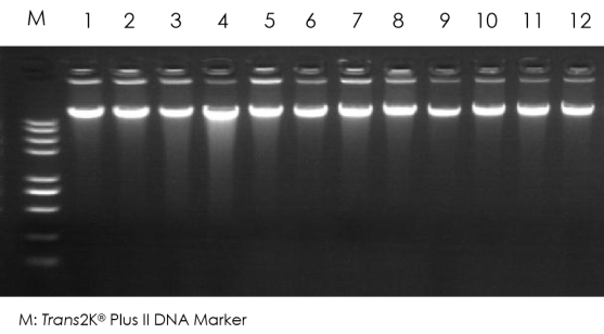 71b080f02bb3c5116fec2609b6899d25.png 71b080f02bb3c5116fec2609b6899d25.png