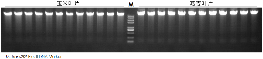 37bd3e4dfc65df787fed2cf9e61ed8ae.png 37bd3e4dfc65df787fed2cf9e61ed8ae.png