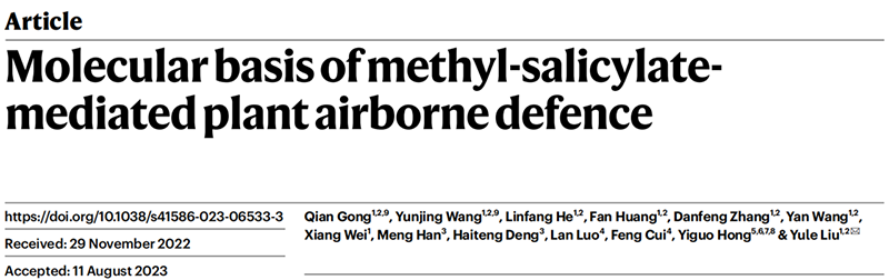 助力科研，全式金RNA純化產(chǎn)品ET101和反轉(zhuǎn)錄產(chǎn)品AT311榮登Nature