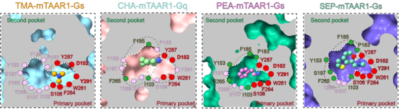 2-調(diào)整后.png 2-調(diào)整后.png