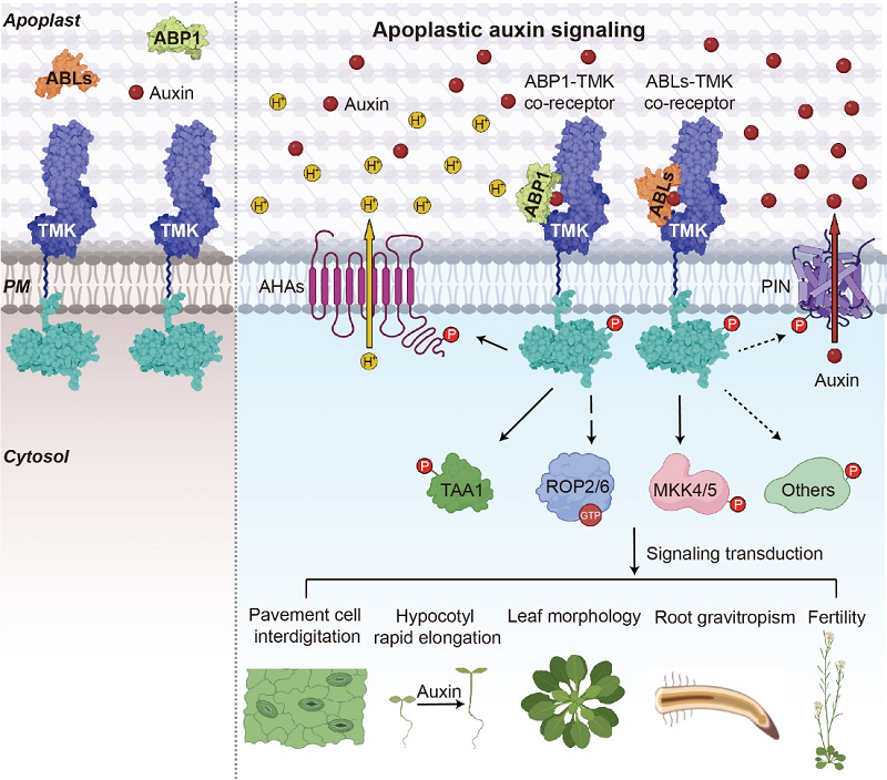 圖2-調整后.png 圖2-調整后.png