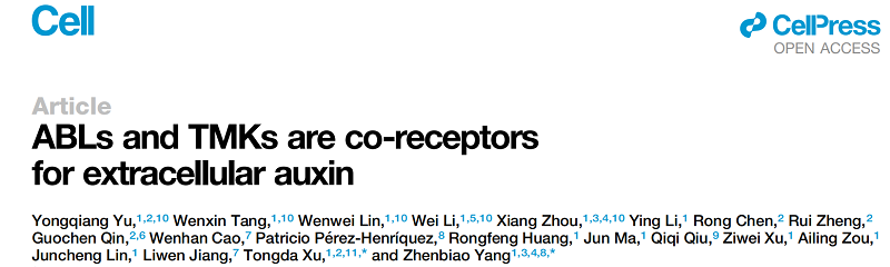 圖1-調整后.png 圖1-調整后.png