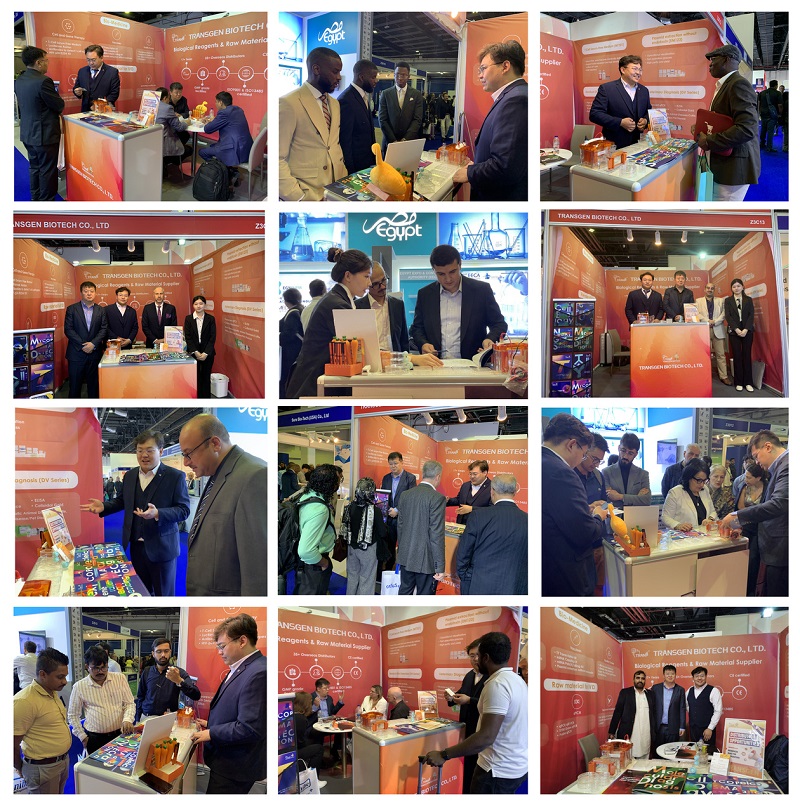 1-修改.jpg 1-修改.jpg