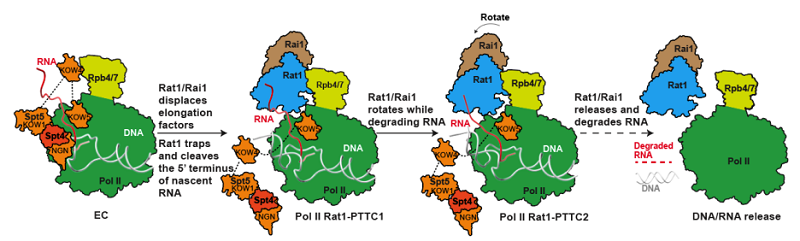 圖2修改后.png 圖2修改后.png