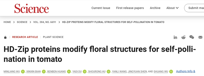 圖片1修改后.png 圖片1修改后.png