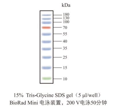 圖片3.png 圖片3.png