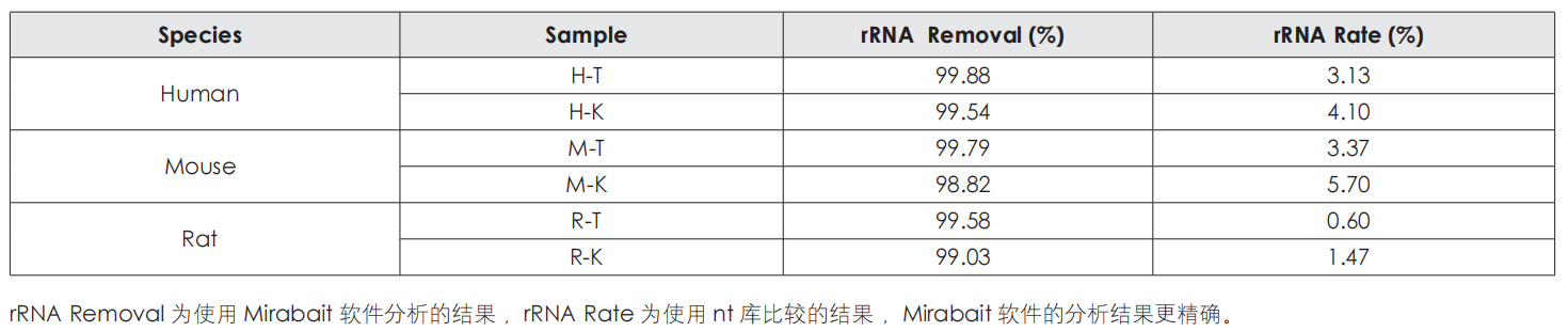 rRNA 含量分析 rRNA 含量分析