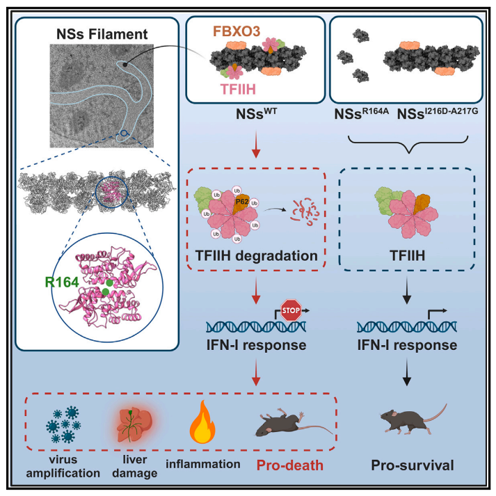 圖片2.png 圖片2.png
