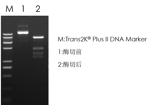 圖片4.png 圖片4.png