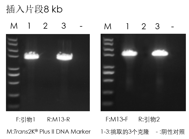 圖片3.png 圖片3.png