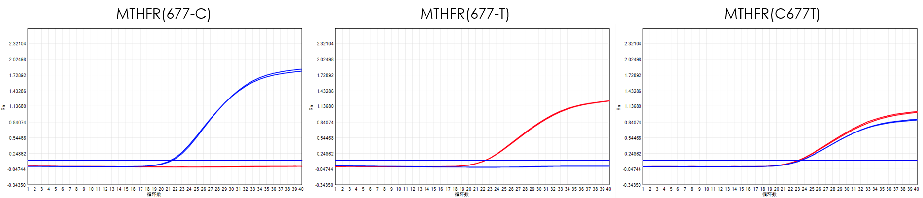 圖片11.png 圖片11.png