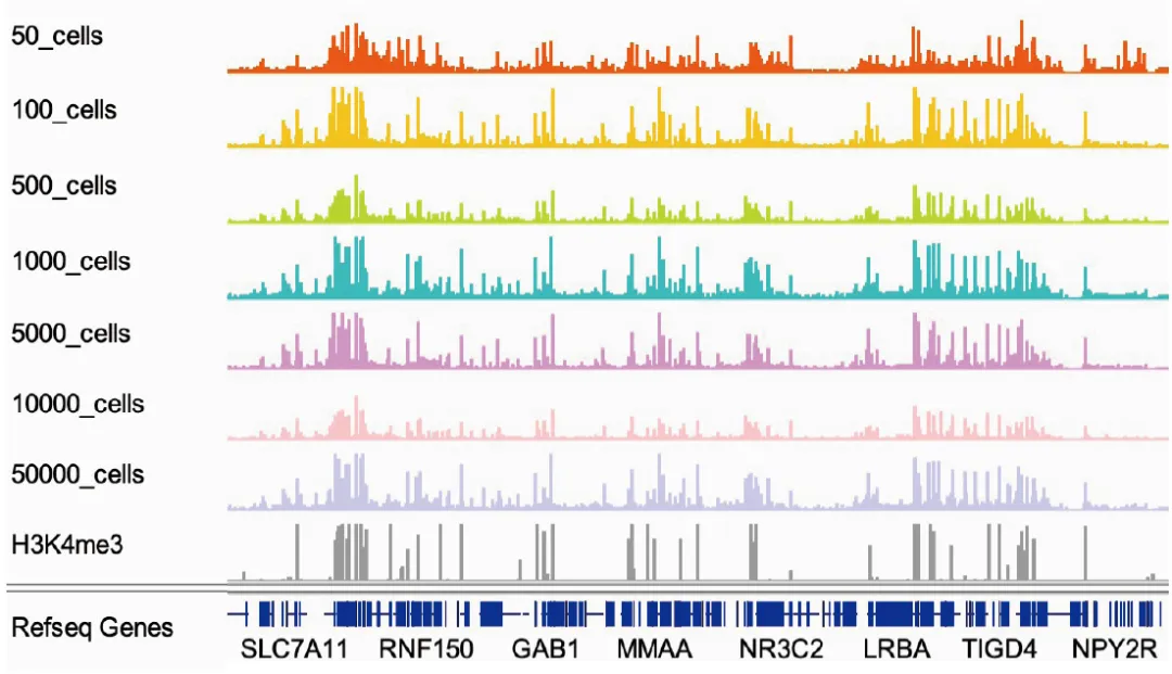 IGV 視圖 IGV 視圖