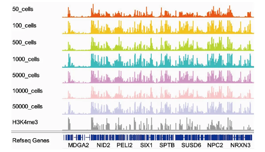 IGV 視圖 IGV 視圖