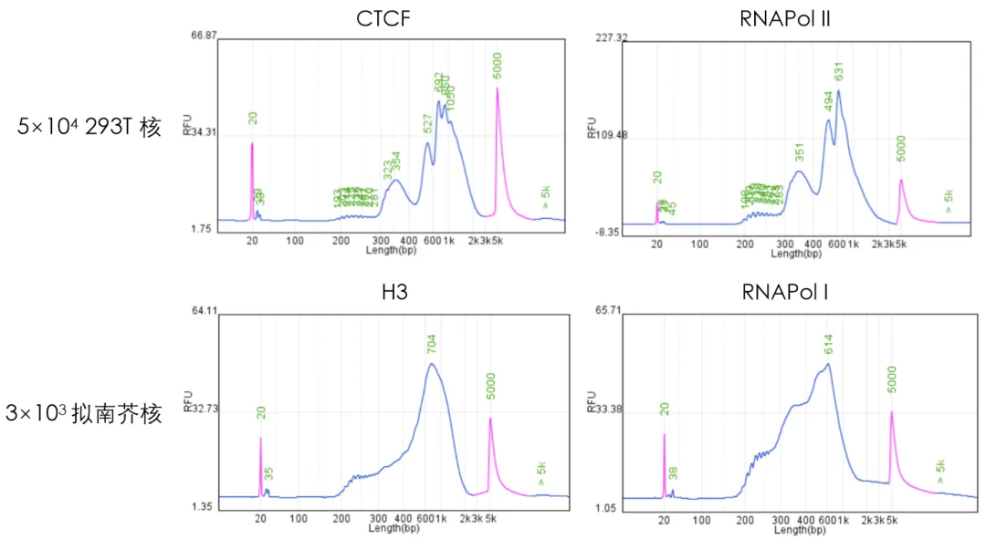 文庫峰型 文庫峰型