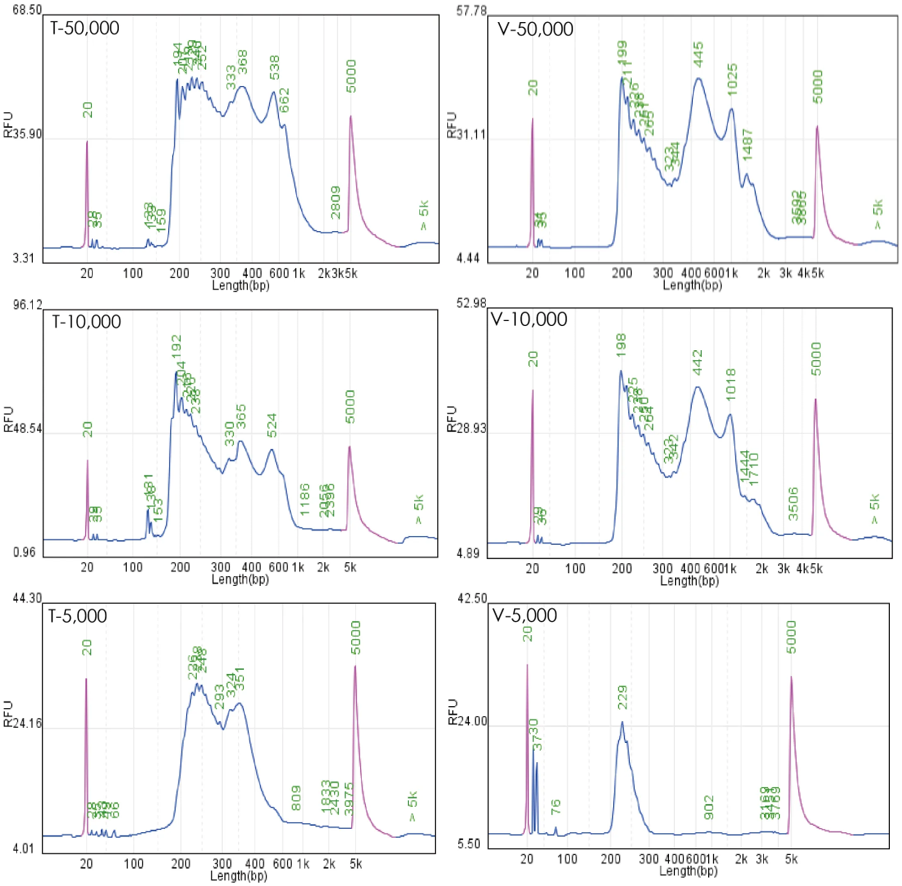 文庫峰型 文庫峰型