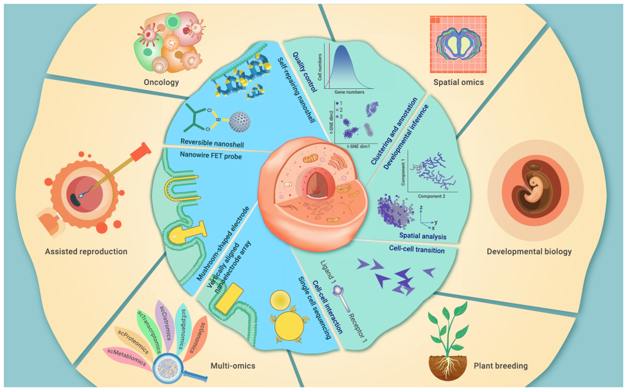 單細(xì)胞測(cè)序的應(yīng)用 單細(xì)胞測(cè)序的應(yīng)用