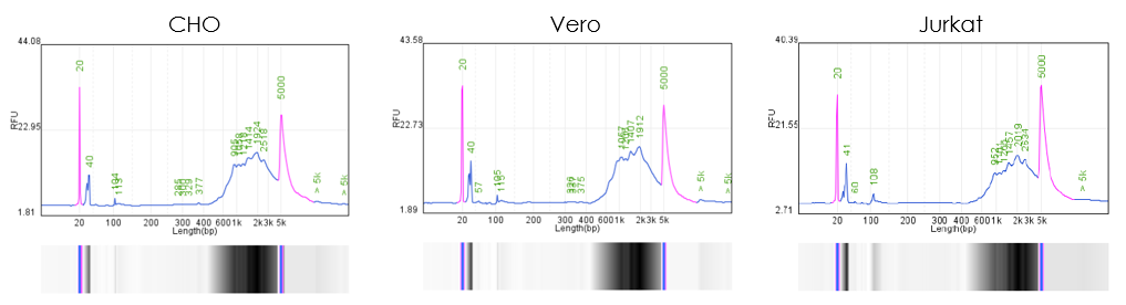 圖片5.png 圖片5.png