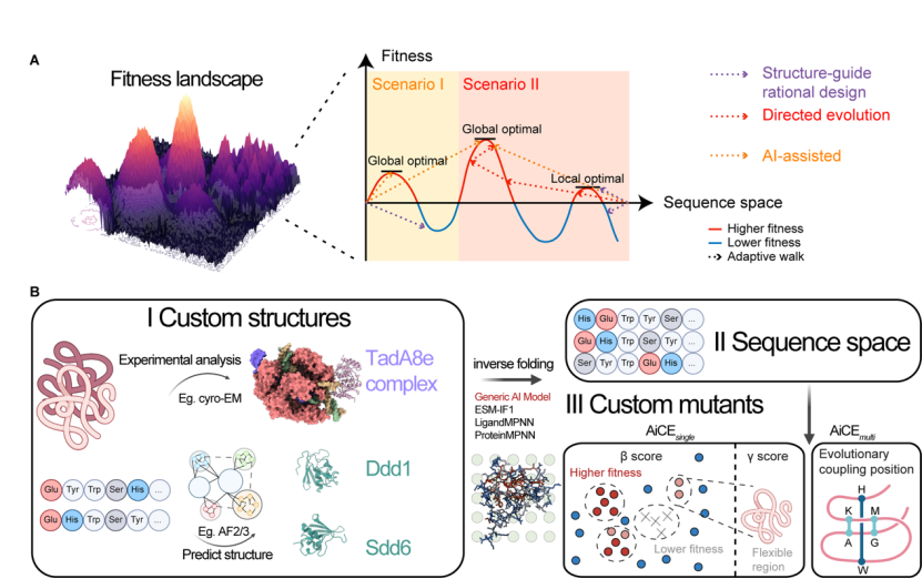 常見蛋白質工程方法的示意圖和 AiCE 方法概述 常見蛋白質工程方法的示意圖和 AiCE 方法概述