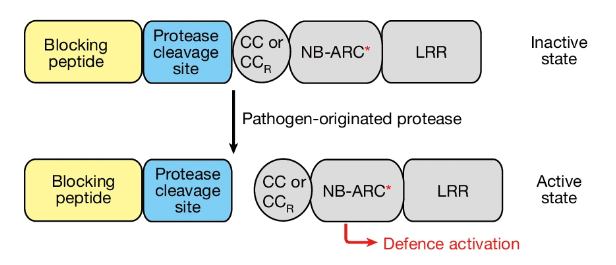 圖片5.png 圖片5.png