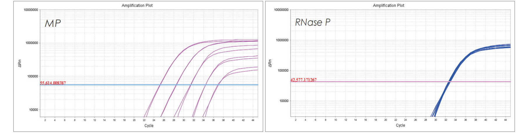 實(shí)驗(yàn)數(shù)據(jù) 實(shí)驗(yàn)數(shù)據(jù)