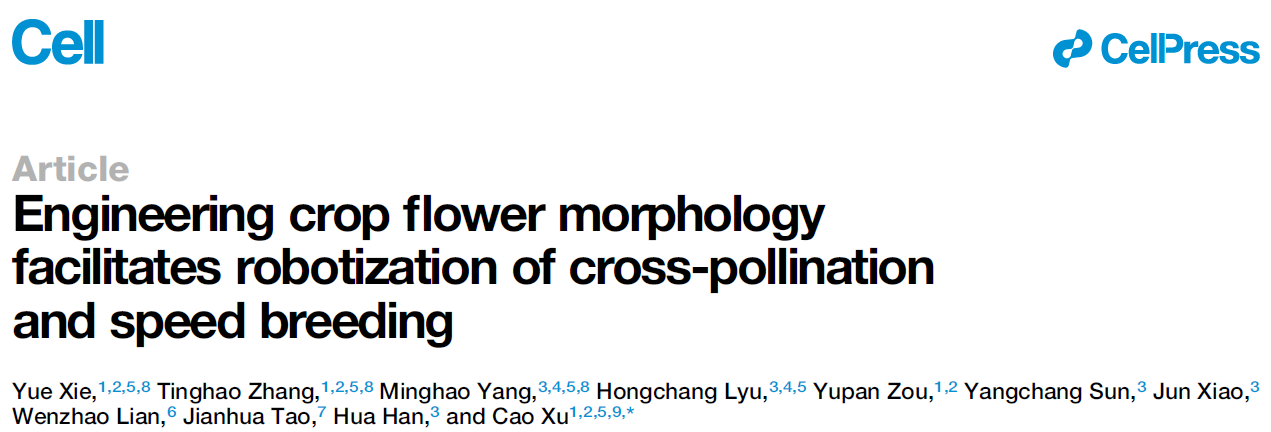 Engineering crop flower morphology facilitates robotization of cross-pollination and speed breeding Engineering crop flower morphology facilitates robotization of cross-pollination and speed breeding