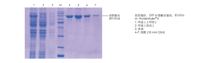 微信圖片_20250904093744_171_30.png 微信圖片_20250904093744_171_30.png